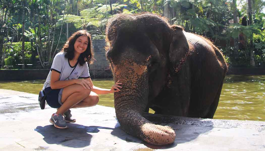 Elephant Park Taro Bali