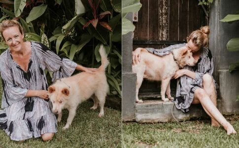 Mission Pawsible