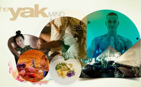 Mind Body Wellness