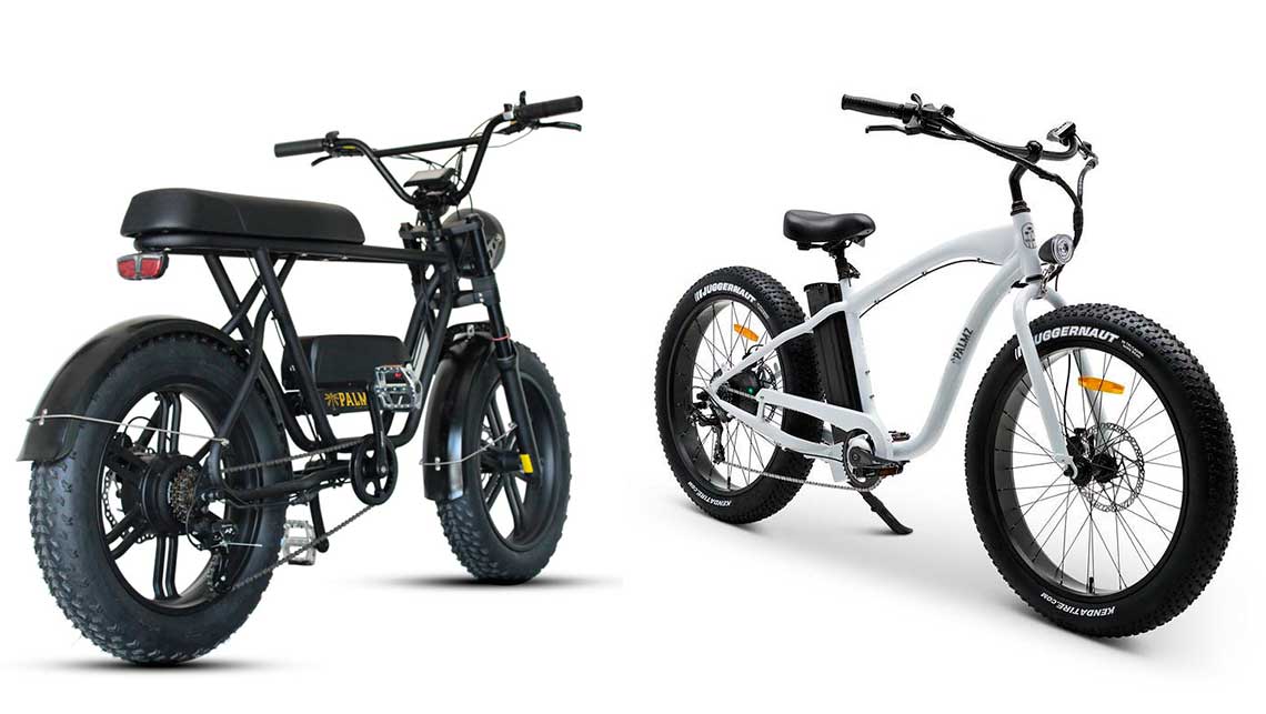 Palmz Electric Bike